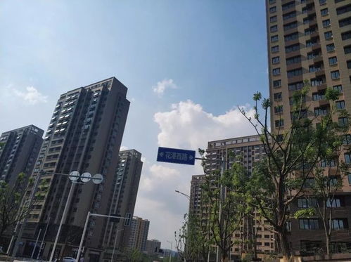 秒殺一眾商品房 南京這家安置房交付，實(shí)景太驚艷了