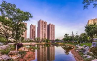 遂寧房價是否迎來轉(zhuǎn)折？河東拍出兩宗住房用地，成交價格出乎意料